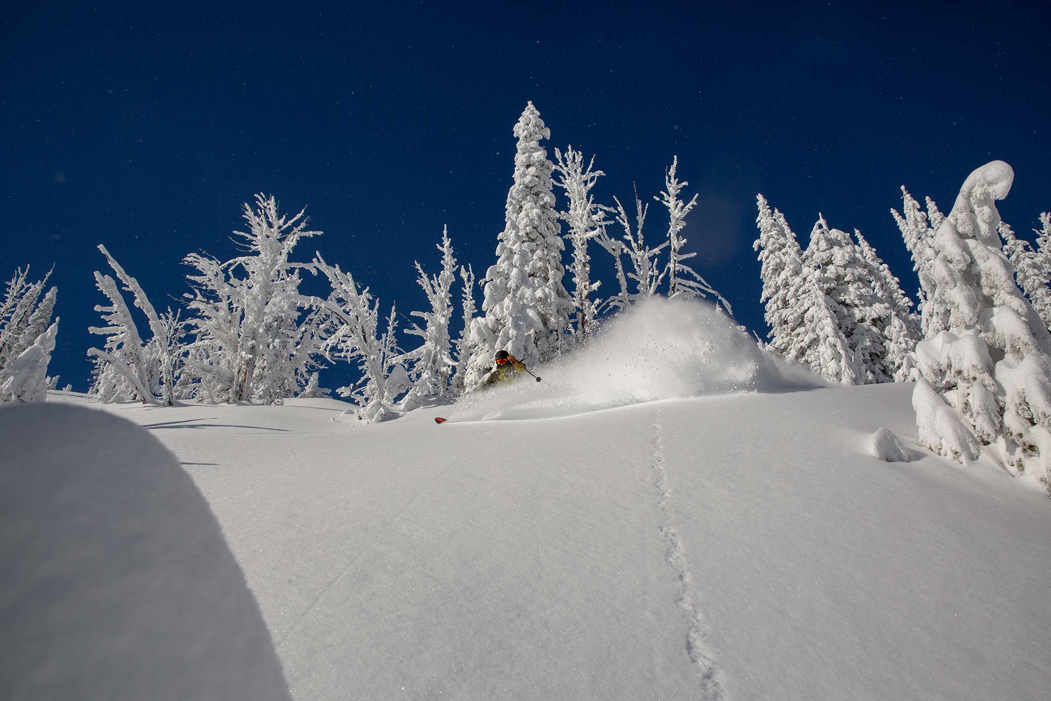 2020 Winter Announcement