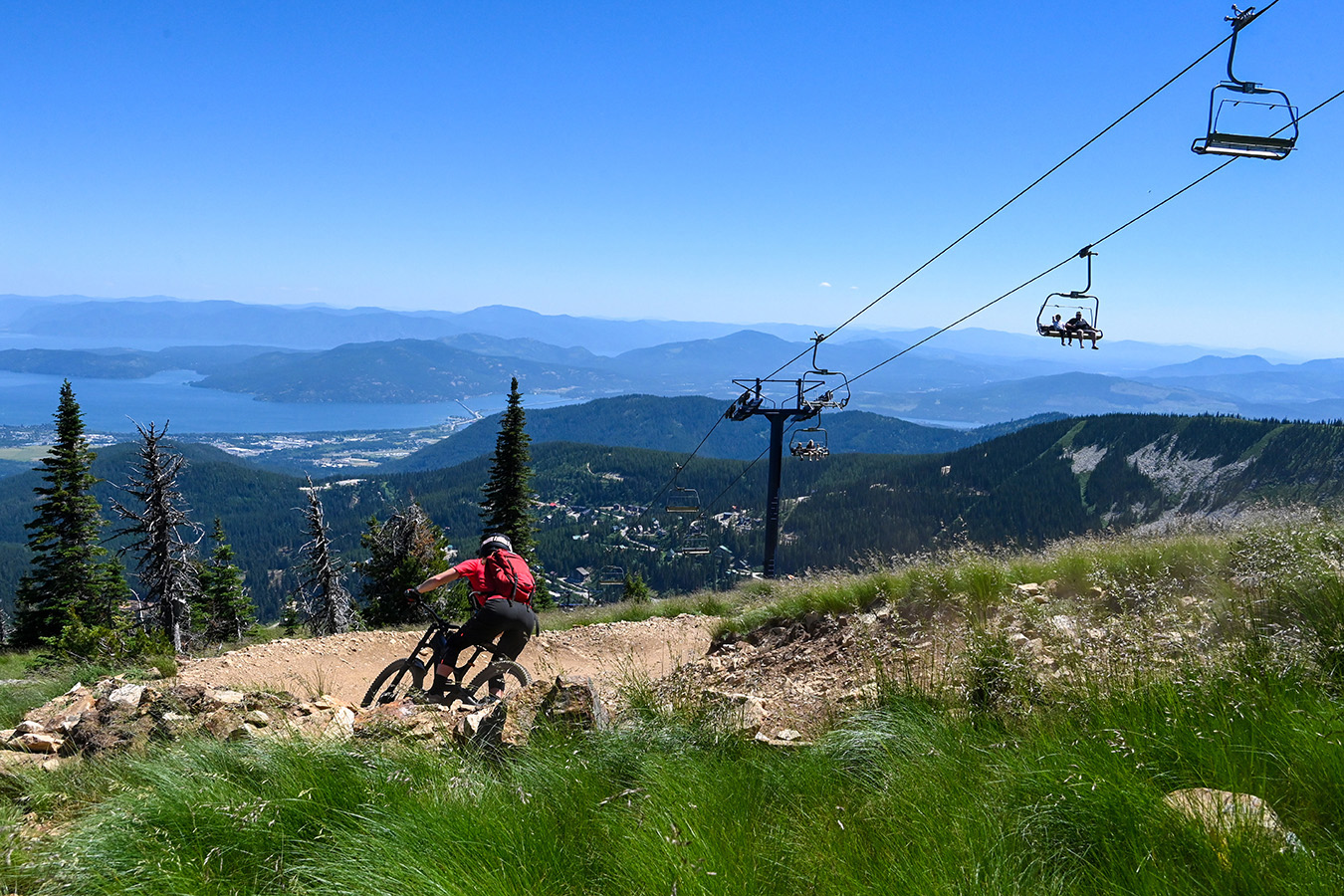 SkiID Summer24 Schweitzer med