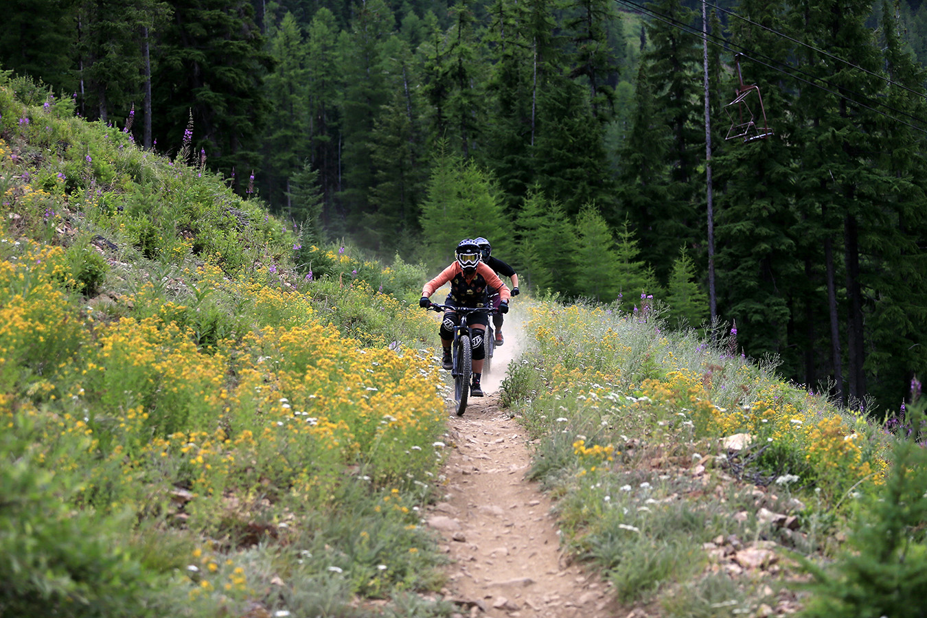 SkiID Summer24 SilverMtn med